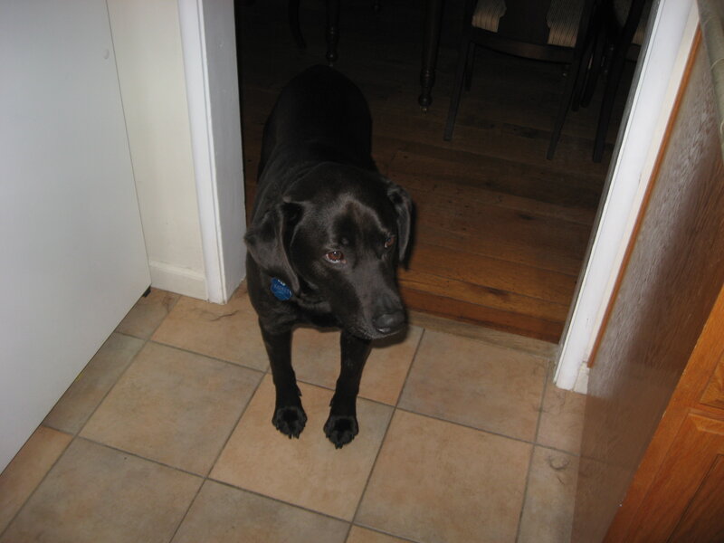 Barney 2010 doorway