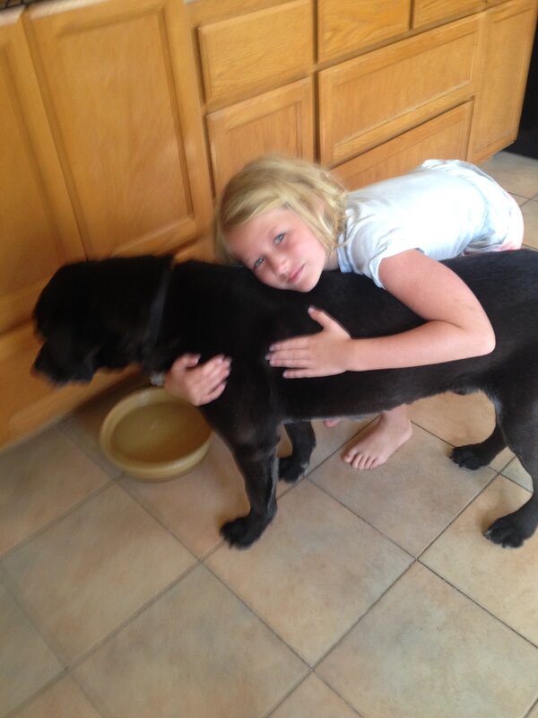 Barney food bowl